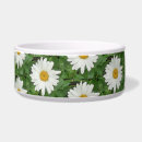 Search for photo pet bowls Green