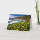 Search for sand dollar cards Coast