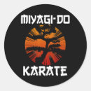 Search for karate lovers stickers Daniel larusso