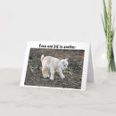 Search for funny aunt cards Nephew