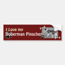 Search for doberman pinscher bumper stickers Dog