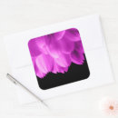 Search for flower petals stickers Pink