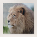 Search for lion puzzles Majestic