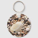 Search for florida seashells key rings Ocean