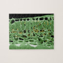 Search for electronic puzzles Electron micrography