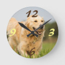 Search for golden retriever clocks Wall
