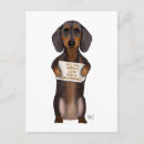 Search for dachshunds postcards Animal lovers
