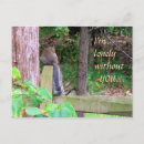 Search for squirrell postcards Wild