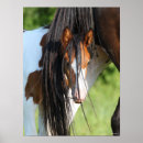 Search for sporting breed posters Irish sport horse