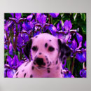 Search for dalmatian art Puppy