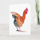 Search for spring chicken birthday cards For her