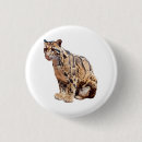 Search for big cat badges Jungle