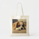 Search for cuddling bags Dog