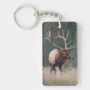 Search for cervus key rings Antlers