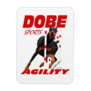 Search for agile magnets Agility