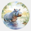 Search for hippopotamus stickers Colourful