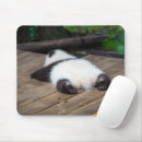 Search for sleeping baby mousepads Cute baby animal