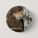 Search for dave badges Cute