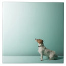 Search for full length tiles Vertical