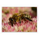 Search for apiarist cards Apiculturist