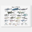 Search for types magnets Wildlife