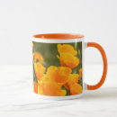 Search for oros mugs California