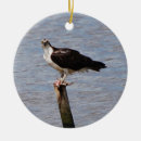 Search for osprey christmas tree decorations Photography