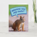 Search for squirrel with nut birthday cards Funny