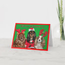 Search for three kings cards Black