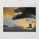 Search for back lit postcards Tranquil scene