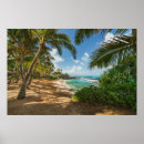 Search for coves posters Sand