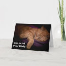 Search for marmalade cards Ginger