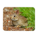 Search for danita delimont cards Usa