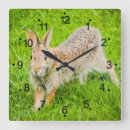 Search for forest green clocks Wildlife