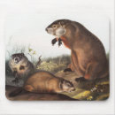 Search for marmots mousepads Woodchuck
