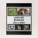 Search for beagle puppy puzzles Hound