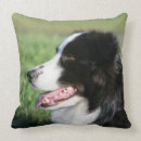 Search for border collie cushions Puppy