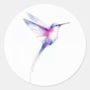 Search for bird paintings stickers Hummingbird