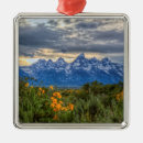 Search for jackson hole christmas tree decorations Nature