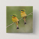 Search for eater badges Bird