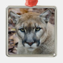 Search for mountain lion christmas tree decorations Cougar