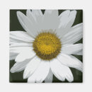 Search for single flowered magnets Botanical