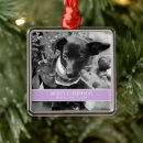 Search for lavender christmas decor Newlyweds
