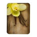 Search for aroma magnets Background