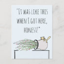 Search for your excuse postcards Cat