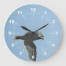 Search for seagull clocks Wildlife