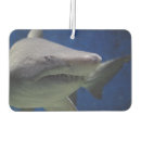 Search for shark car air fresheners Sea