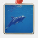 Search for underwater christmas tree decorations Animal