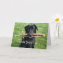 Search for black lab cards Funny