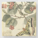 Search for dragonfly coasters Insects